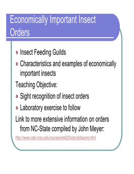 Economically Important Insect Orders