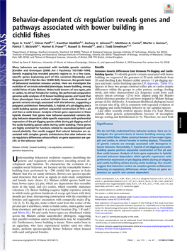 Behavior-Dependent Cis Regulation Reveals Genes and Pathways Associated with Bower Building in Cichlid Fishes