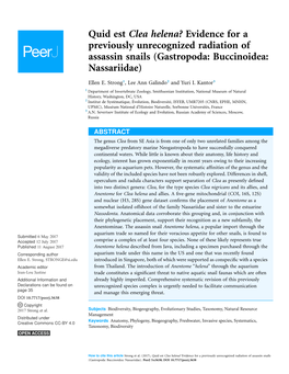 Quid Est Clea Helena? Evidence for a Previously Unrecognized Radiation of Assassin Snails (Gastropoda: Buccinoidea: Nassariidae)