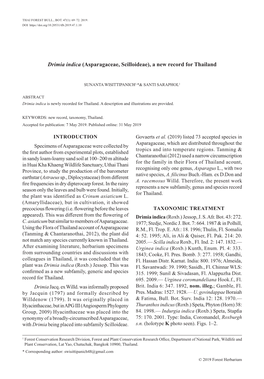 Drimia Indica (Asparagaceae, Scilloideae), a New Record for Thailand