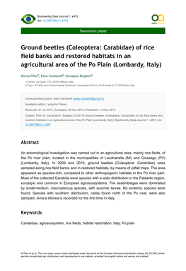 Ground Beetles (Coleoptera: Carabidae) of Rice Field Banks and Restored Habitats in an Agricultural Area of the Po Plain (Lombardy, Italy)