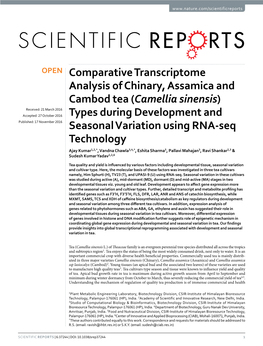 Comparative Transcriptome Analysis of Chinary, Assamica and Cambod