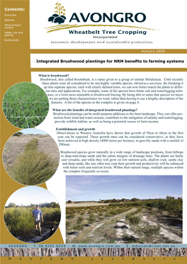 Integrated Brushwood Plantings for NRM Benefits to Farming Systems