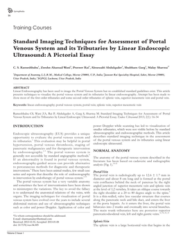 Standard Imaging Techniques for Assessment of Portal Venous System and Its Tributaries by Linear Endoscopic Ultrasound: a Pictorial Essay