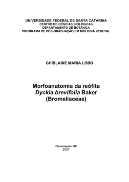 Morfoanatomia Da Reófita Dyckia Brevifolia Baker (Bromeliaceae)