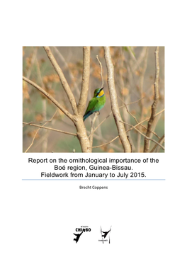 Report on the Ornithological Importance of the Boé Region, Guinea-Bissau