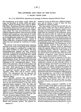 THE ARTERIES and VEINS of the LUNGS Situated Peripherally to Thelobule While Branches of Melnikoff