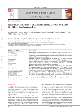 Spectrum of Mutations of Thalassemia Among Couples from Izeh City, Khuzestan Province, Iran