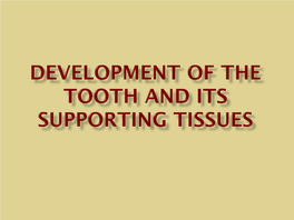 Development of the Tooth and Its Supporting Tissues