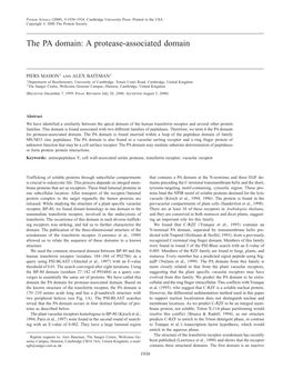 The PA Domain: a Protease-Associated Domain