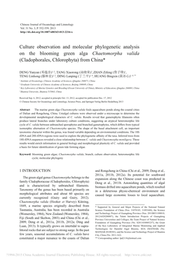 Culture Observation and Molecular Phylogenetic Analysis on the Blooming Green Alga Chaetomorpha Valida (Cladophorales, Chlorophyta) from China*