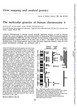 E-One Mapping and Medical Genetics