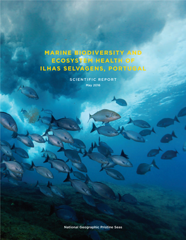 Marine Biodiversity and Ecosystem Health of Ilhas Selvagens, Portugal