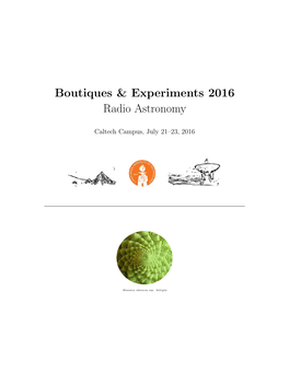 Boutiques & Experiments 2016 Radio Astronomy