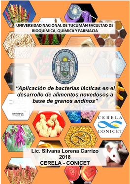 “Aplicación De Bacterias Lácticas En El Desarrollo De Alimentos Novedosos A