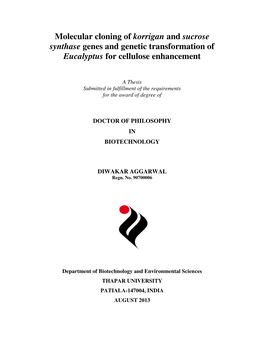 Molecular Cloning of Korrigan and Sucrose Synthase Genes and Genetic Transformation of Eucalyptus for Cellulose Enhancement