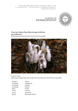 Indian Pipe (Monotropa Uniflora) Date: October 2011 by Misha Norland, Mani Norland & the School of Homeopathy