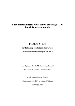 Functional Analysis of the Anion Exchanger 1 by Knock in Mouse Models