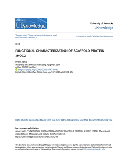 Functional Characterization of Scaffold Protein Shoc2