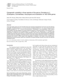 Coleoptera, Cicindelidae): Karyotypes and Localization of 18S Rdna Genes