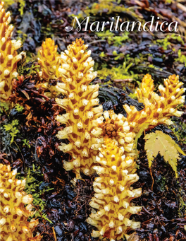 Spring 2019 Volume 10, Issue 1 a Publication of the Maryland Native