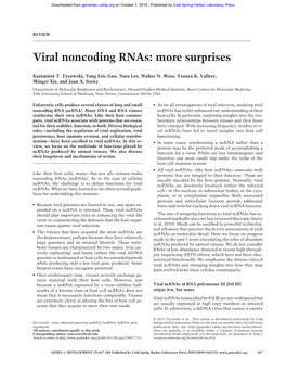 Viral Noncoding Rnas: More Surprises