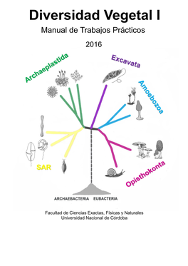 Diversidad Vegetal I