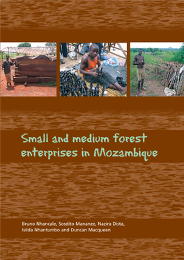 Small and Medium Forest Enterprises in Mozambique