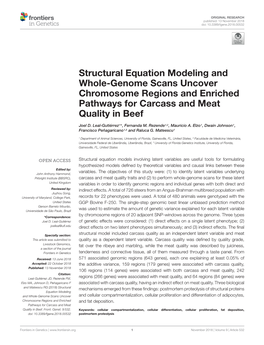 Structural Equation Modeling and Whole-Genome Scans Uncover Chromosome Regions and Enriched Pathways for Carcass and Meat Quality in Beef