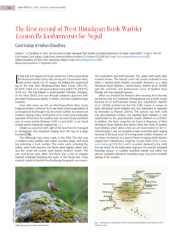 The First Record of West Himalayan Bush Warbler Locustella Kashmirensis for Nepal Carol Inskipp & Hathan Chaudhary
