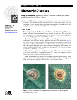 Alternaria Diseases