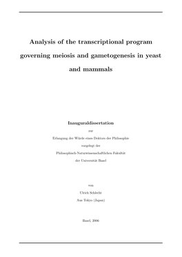 Analysis of the Transcriptional Program Governing Meiosis and Gametogenesis in Yeast