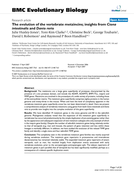 The Evolution of the Vertebrate Metzincins; Insights from Ciona Intestinalis and Danio Rerio