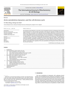 Actin Cytoskeleton Dynamics and the Cell Division Cycle