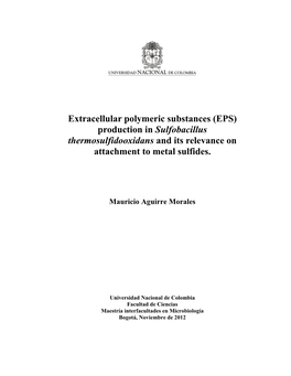 Extracellular Polymeric Substances (EPS) Production in Sulfobacillus Thermosulfidooxidans and Its Relevance on Attachment to Metal Sulfides