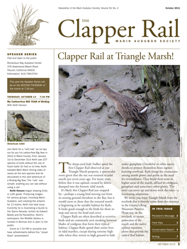 Clapper Rail at Triangle Marsh! Richardson Bay Audubon Center 376 Greenwood Beach Road Tiburon, California 94920 Information: 415/789-0703