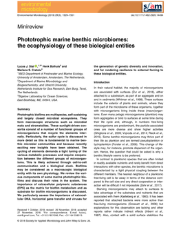 Phototrophic Marine Benthic Microbiomes: the Ecophysiology of These Biological Entities