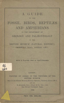 Fossil Birds, Reptiles and Amphibians