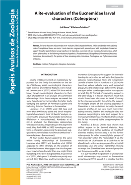 A Re-Evaluation of the Eucnemidae Larval Characters (Coleoptera)