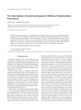 New Descriptions of Enchytraeid Species(Clitellata: Enchytraeidae)