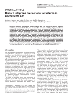 Class 1 Integrons Are Low-Cost Structures in Escherichia Coli