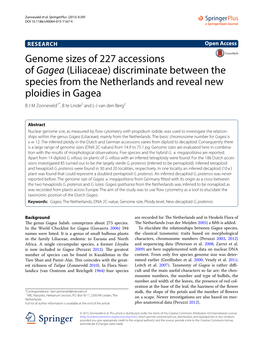 Genome Sizes of 227 Accessions of Gagea (Liliaceae) Discriminate