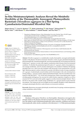 In-Situ Metatranscriptomic Analyses Reveal the Metabolic Flexibility Of