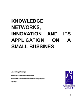 Knowledge Networks, Innovation and Its Application on a Small Bussines