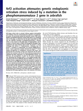 Nrf2 Activation Attenuates Genetic Endoplasmic Reticulum Stress Induced by a Mutation in the Phosphomannomutase 2 Gene in Zebrafish