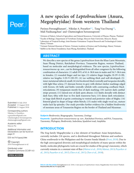 Matsui Et Al., 2010; Matsui, 2013; Poyarkov Et Creative Commons CC-BY 4.0 Al., 2015; Poyarkov Et Al., 2017; Chen Et Al., 2017; Chen Et Al., 2018)