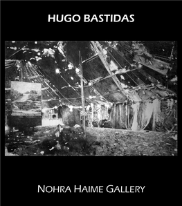 Hugo Bastidas Nohra Haime Gallery