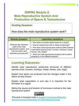 ONPRC Module 2: Male Reproductive System and Production of Sperm & Testosterone Learning Outcomes