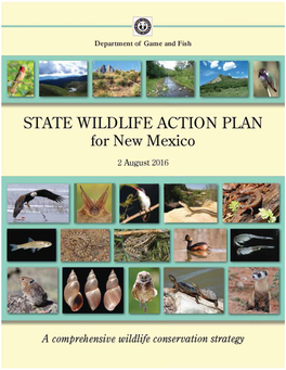 New Mexico: a Conservation Overview