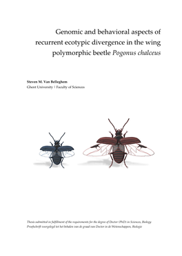 Genomic and Behavioral Aspects of Recurrent Ecotypic Divergence in the Wing Polymorphic Beetle Pogonus Chalceus